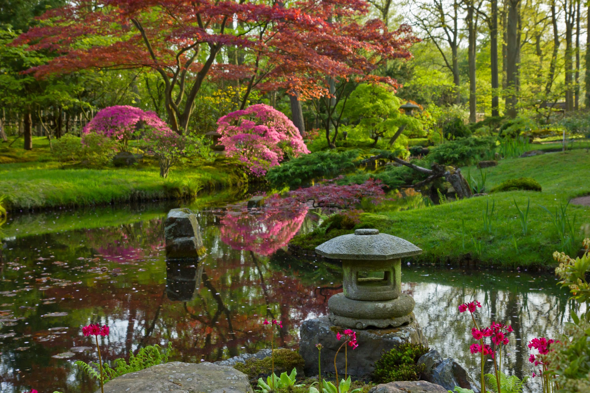 You Can Have a Beautiful Yard with the Help of Landscape Architect in Fairfield Connecticut