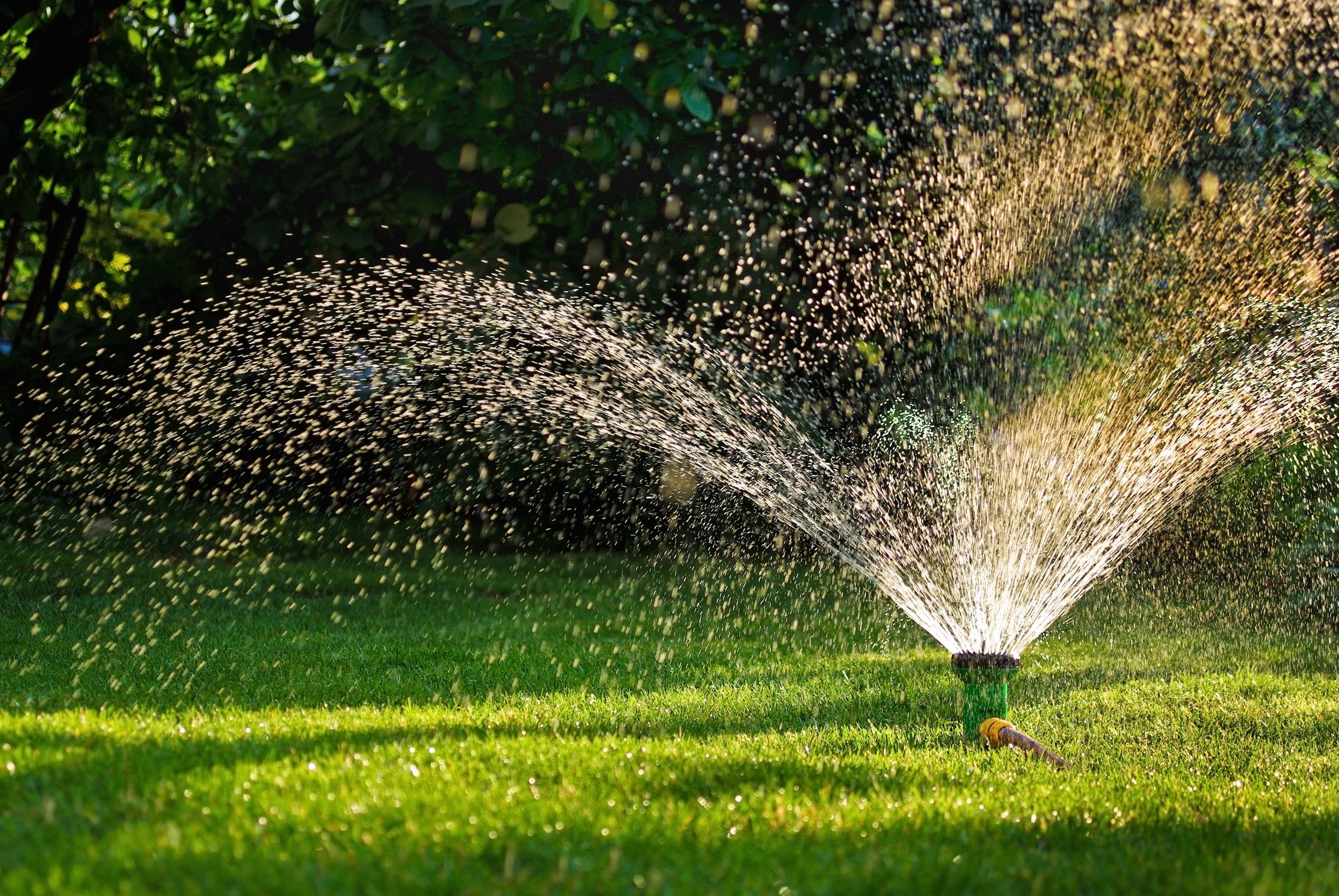 Ways That a Sprinkler System Installation in Boulder CO Can Benefit Your Lawn