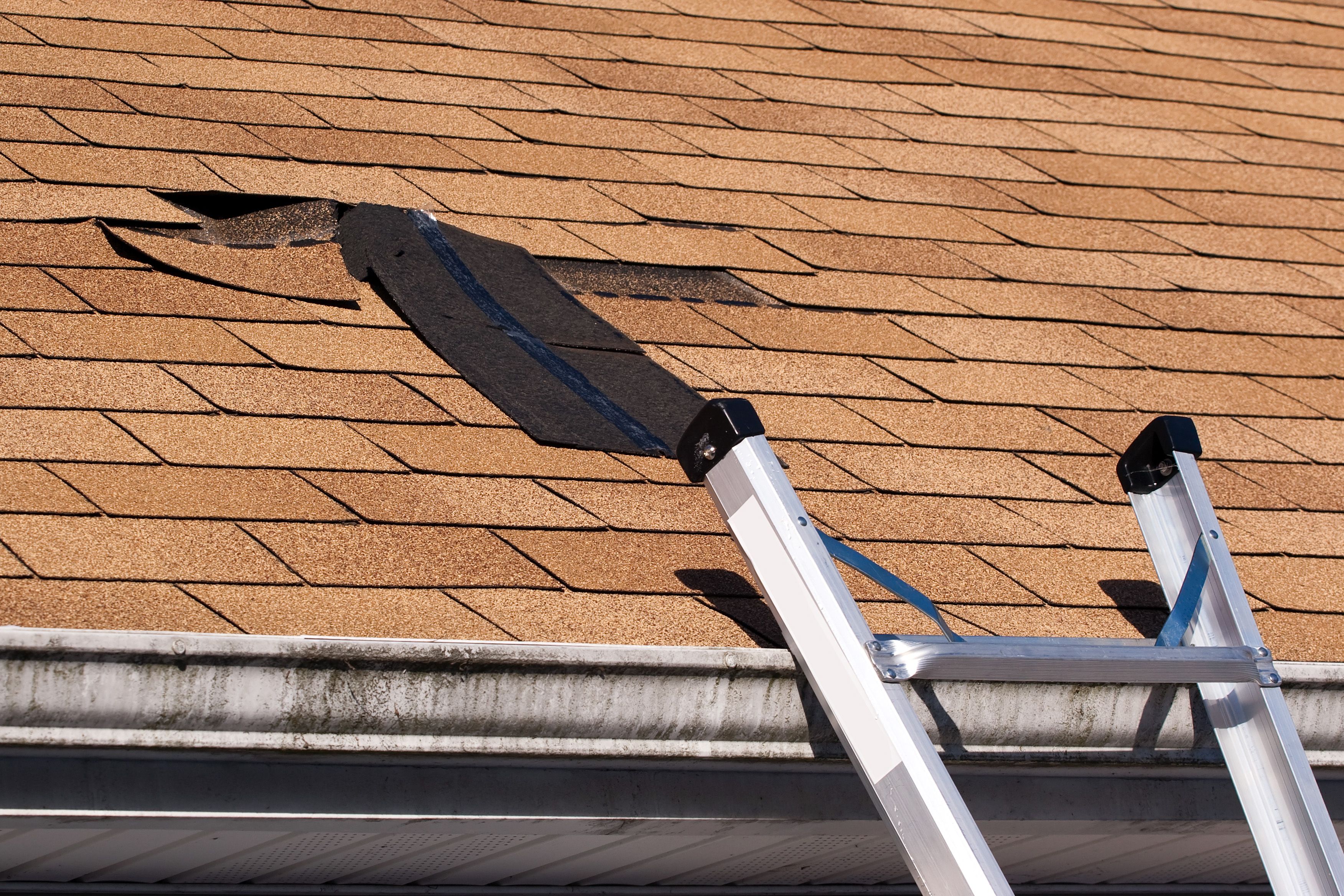 Avoid Rain Damage With Expert Commercial Roofing in Rochester MN