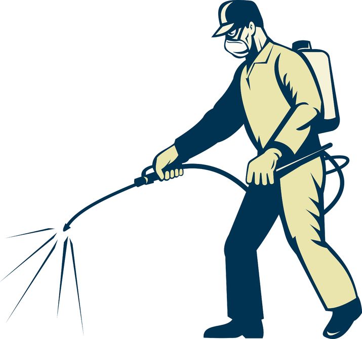 Always Hire Professional Pest Control Services in Jackson NJ