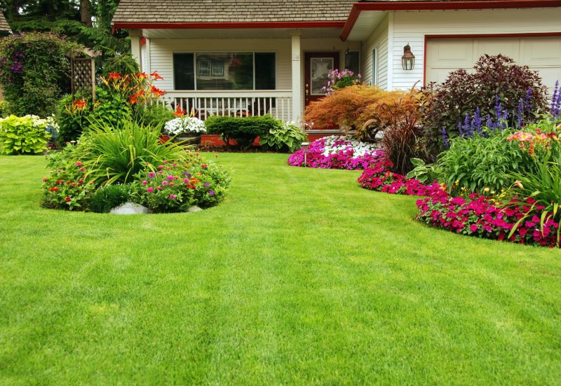 Landscaping in Weston CT That Helps Deter Deer From the Property