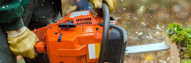 Some Reasons Homeowners Use Stump Grinding Services in Arlington