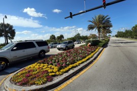 Professional Landscaping Raises Business Property Values