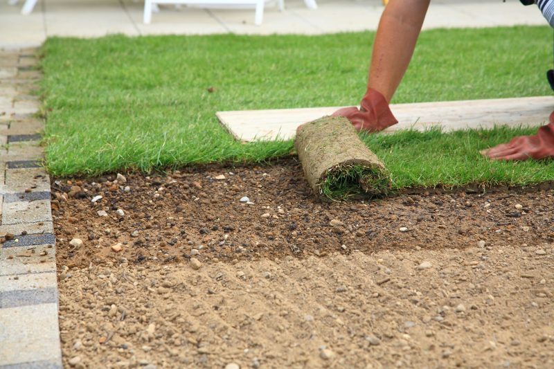 Boost Curb Appeal With Landscaping in Kihei