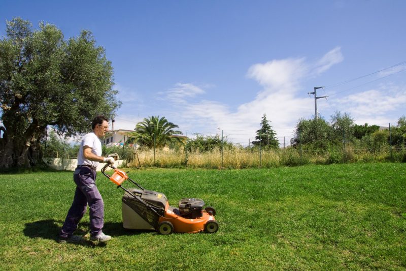 Why Hire Professionals for Lawn Maintenance in Spokane?