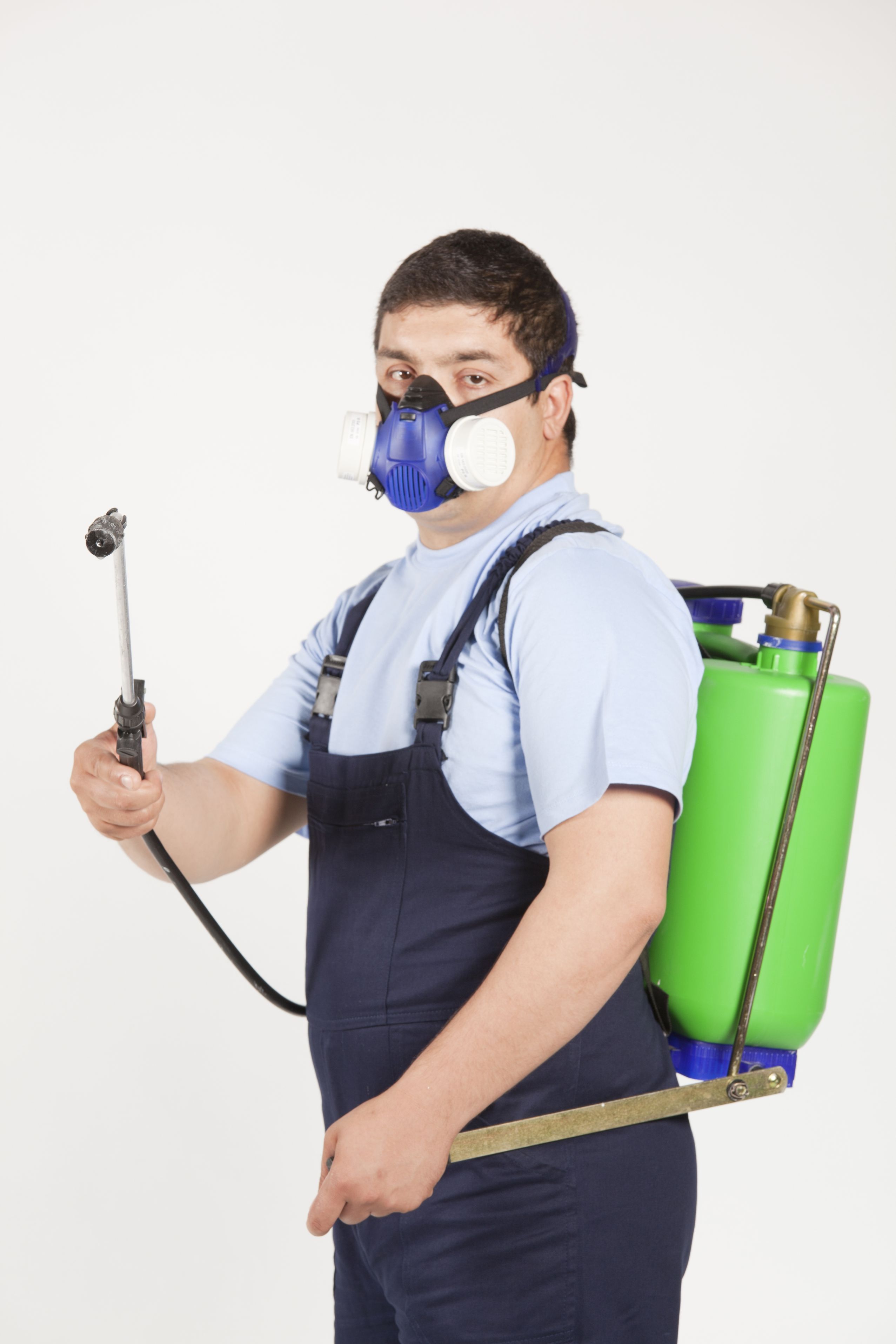 3 Ways Pest Control Experts Benefit Homeowners