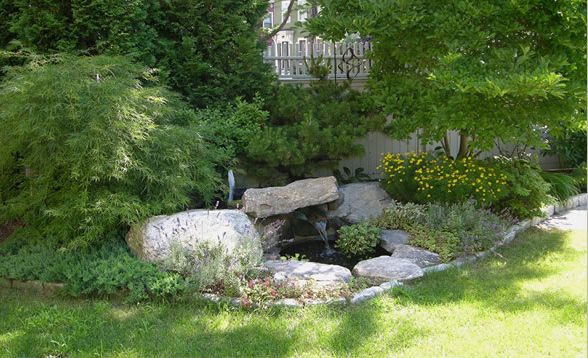 Benefits of Organic Landscaping in Belmont, MA